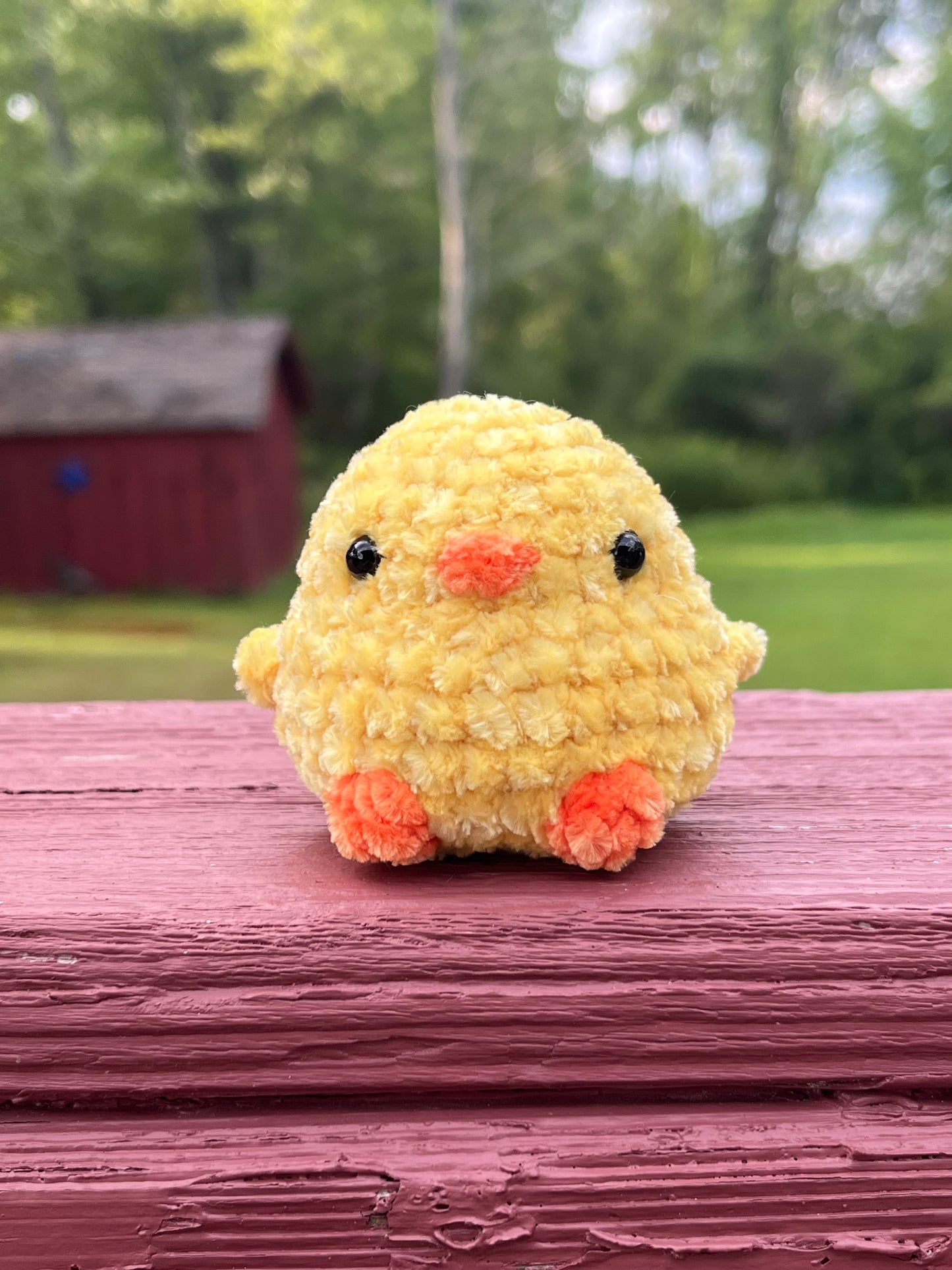Little Sitting Birds